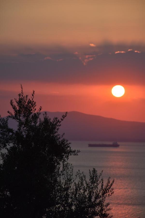 Blue Yard Apartments Kalamata Exterior photo