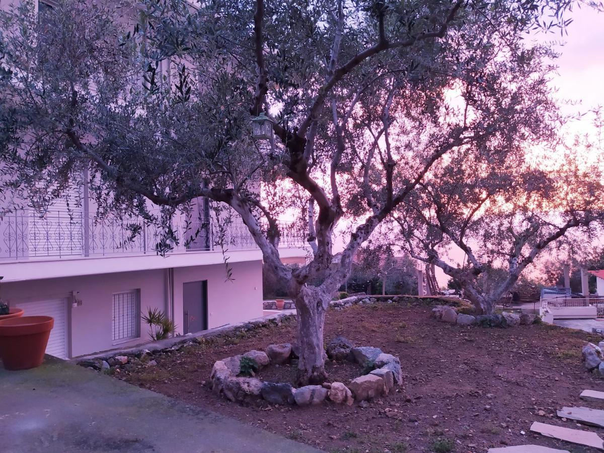 Blue Yard Apartments Kalamata Room photo