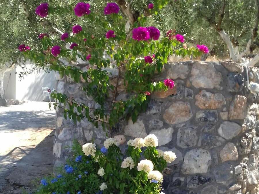 Blue Yard Apartments Kalamata Room photo
